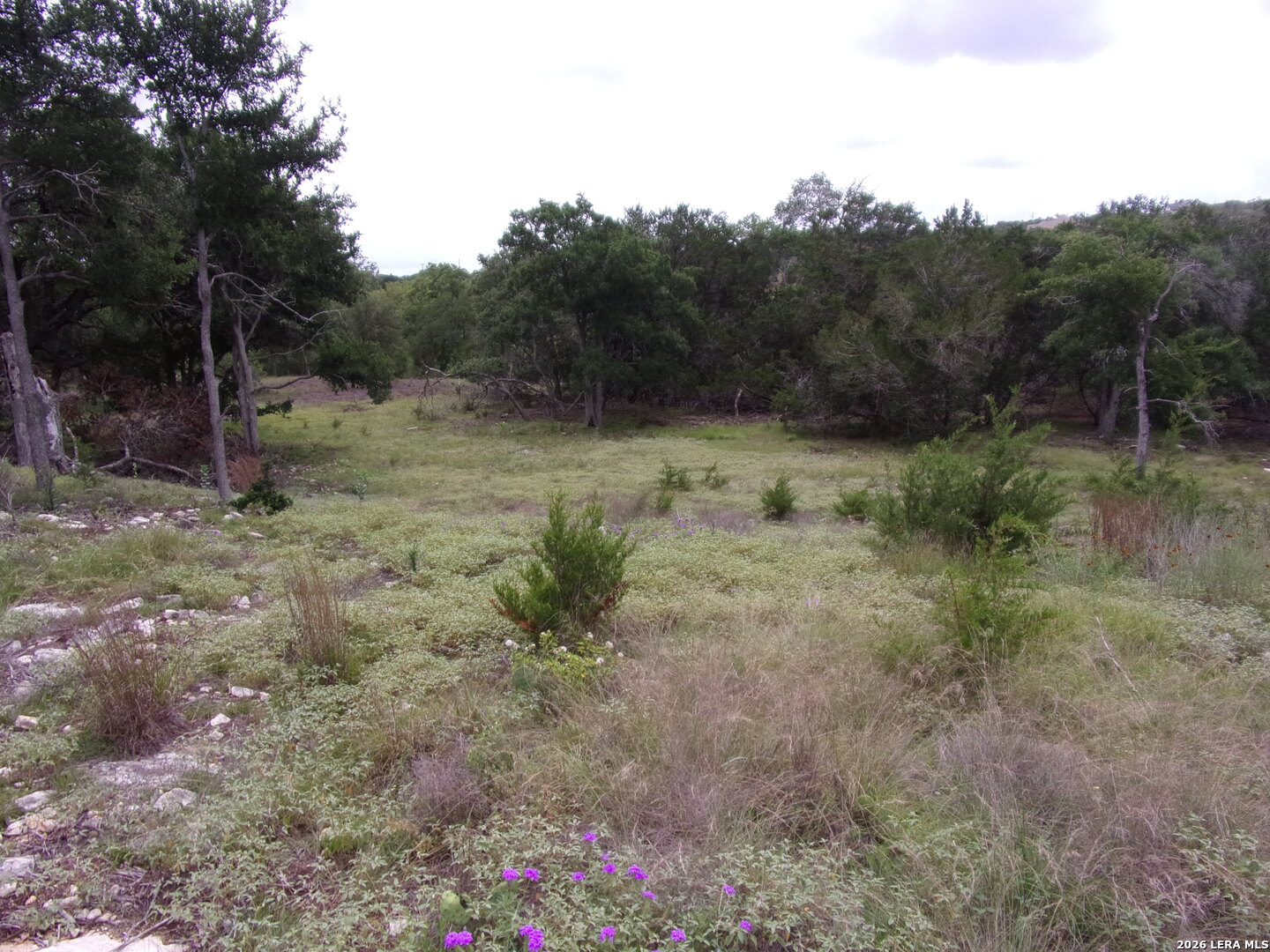 115 La Luna Drive Blanco TX 78606