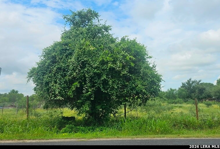 13808 Lot 2 Greenwood Road Atascosa TX 78002