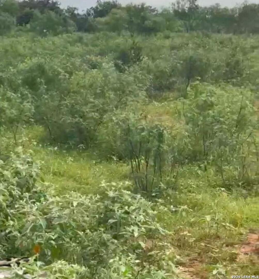 13808 Lot 2 Greenwood Road Atascosa TX 78002