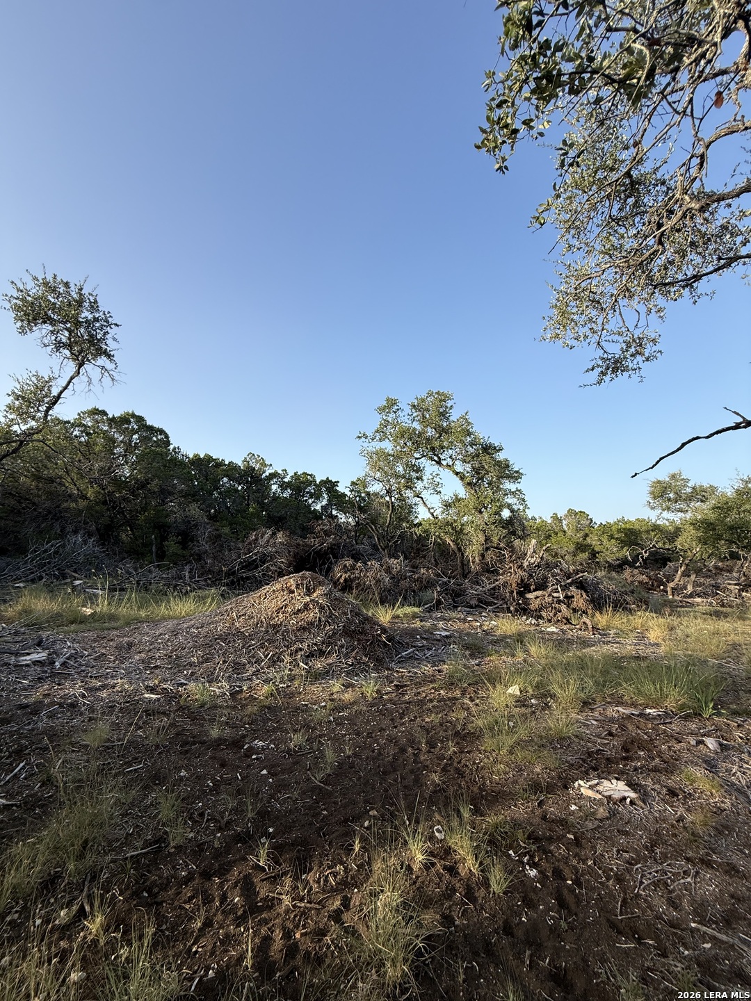 247 Restless Wind Spring Branch TX 78070
