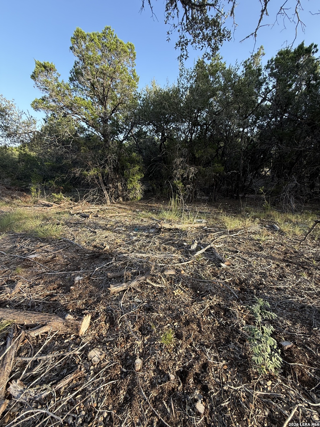 247 Restless Wind Spring Branch TX 78070