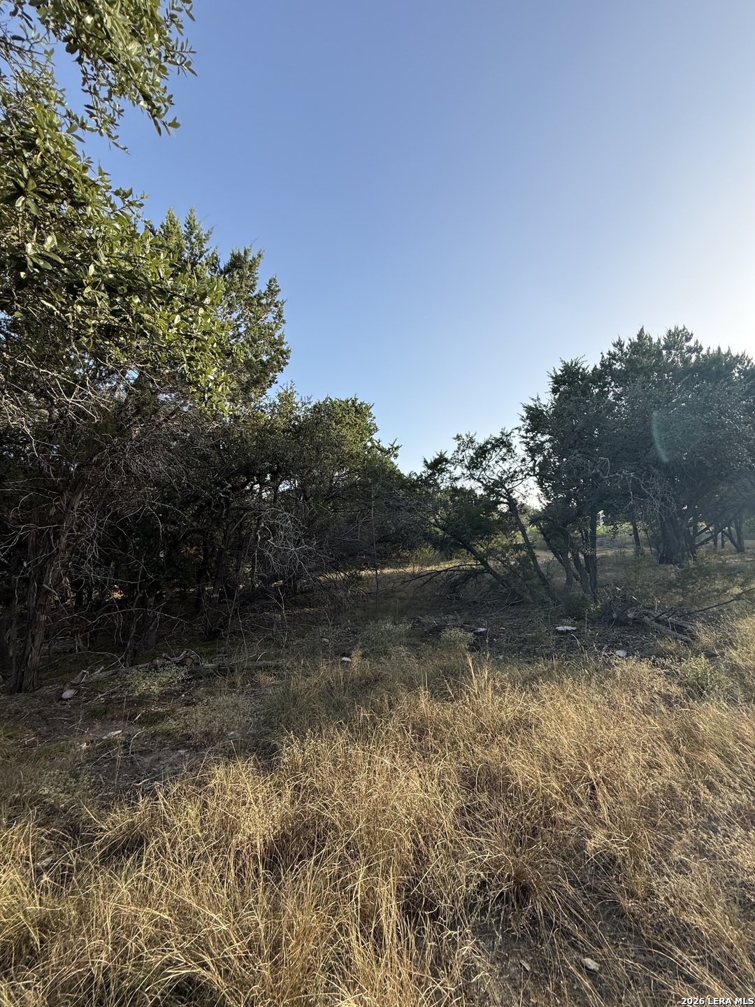 247 Restless Wind Spring Branch TX 78070