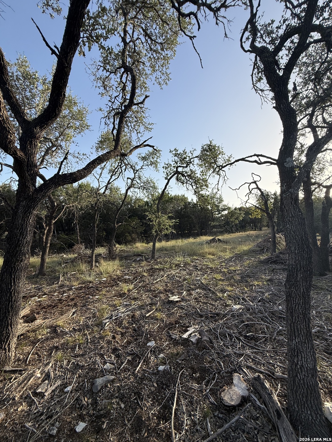 247 Restless Wind Spring Branch TX 78070