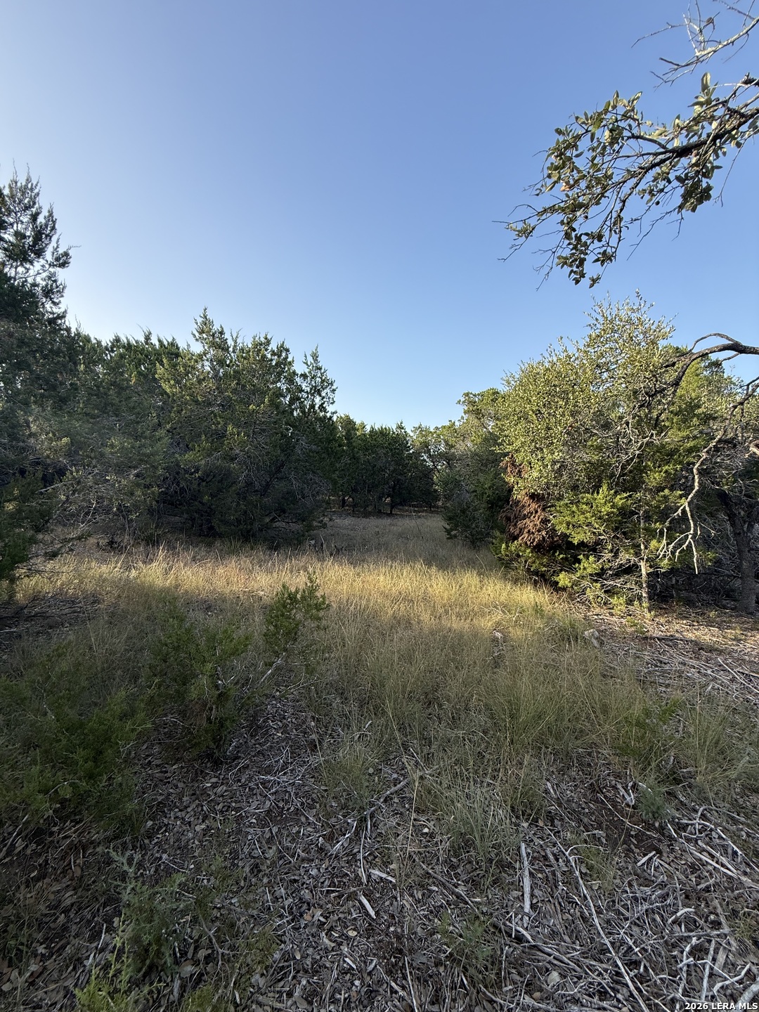 247 Restless Wind Spring Branch TX 78070
