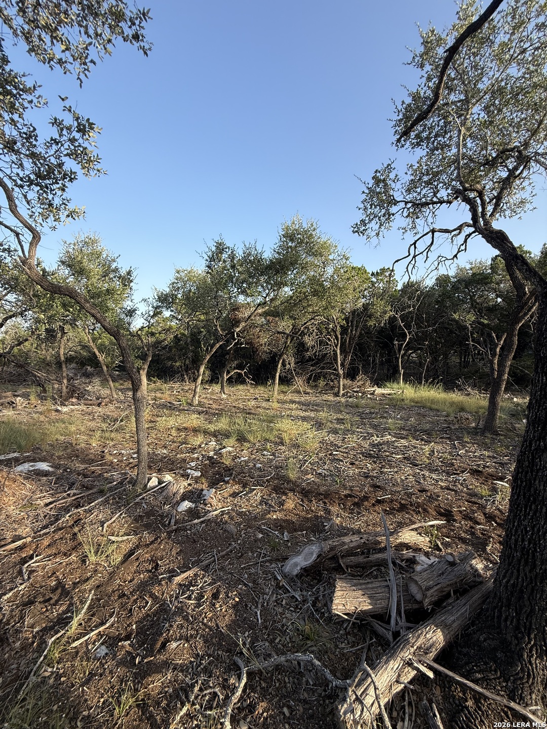 247 Restless Wind Spring Branch TX 78070