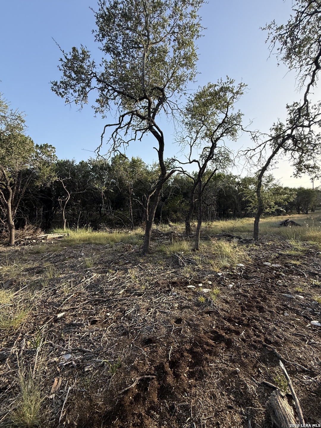 247 Restless Wind Spring Branch TX 78070