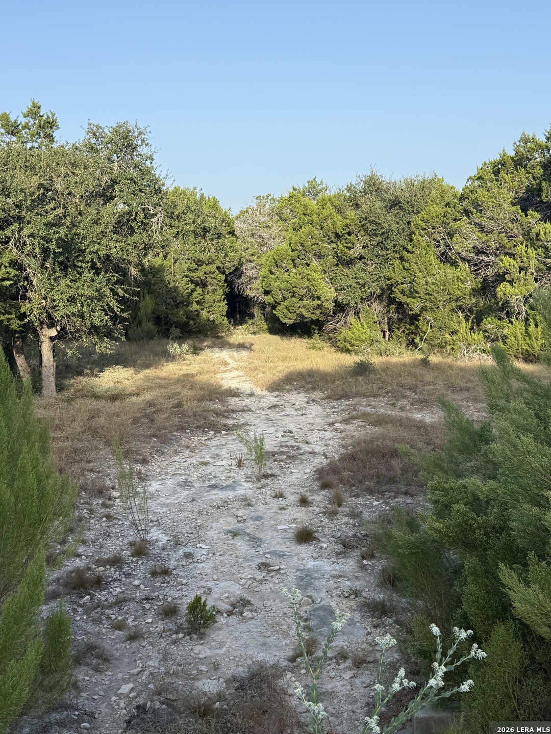 247 Restless Wind Spring Branch TX 78070