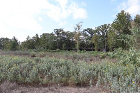 14919 Tx-16 N Medina TX 78055