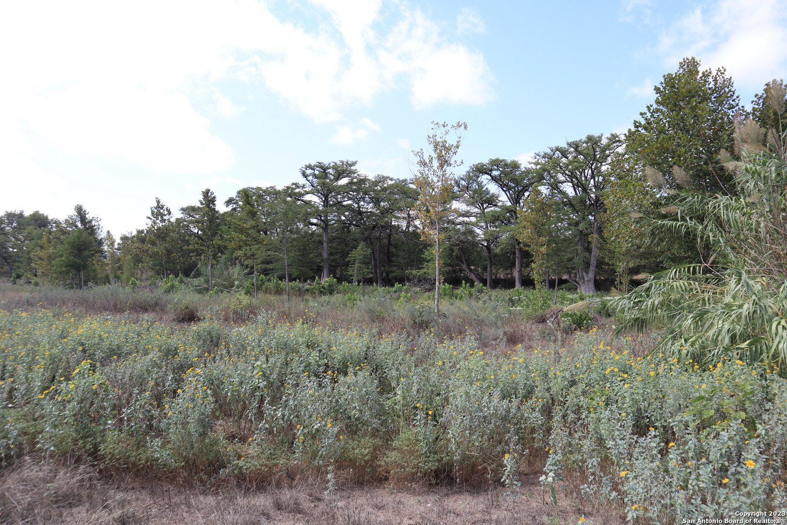 14919 Tx-16 N Medina TX 78055