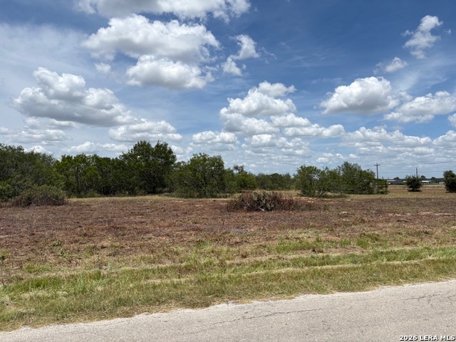 100 Oak Hollow Drive La Vernia TX 78121