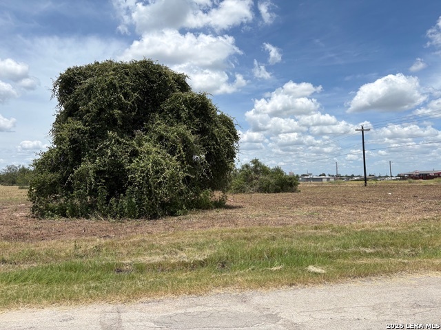 100 Oak Hollow Drive La Vernia TX 78121