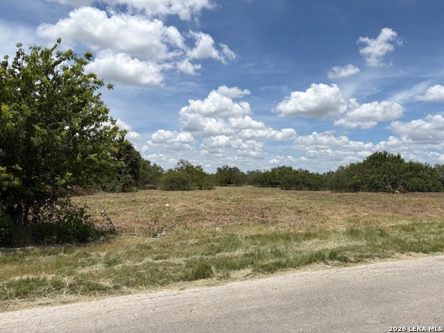100 Oak Hollow Drive La Vernia TX 78121