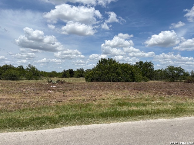100 Oak Hollow Drive La Vernia TX 78121