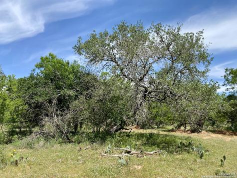 Tbd Dairy Road Pleasanton TX 78064