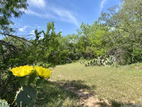 Tbd Dairy Road Pleasanton TX 78064