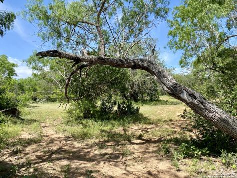 Tbd Dairy Road Pleasanton TX 78064