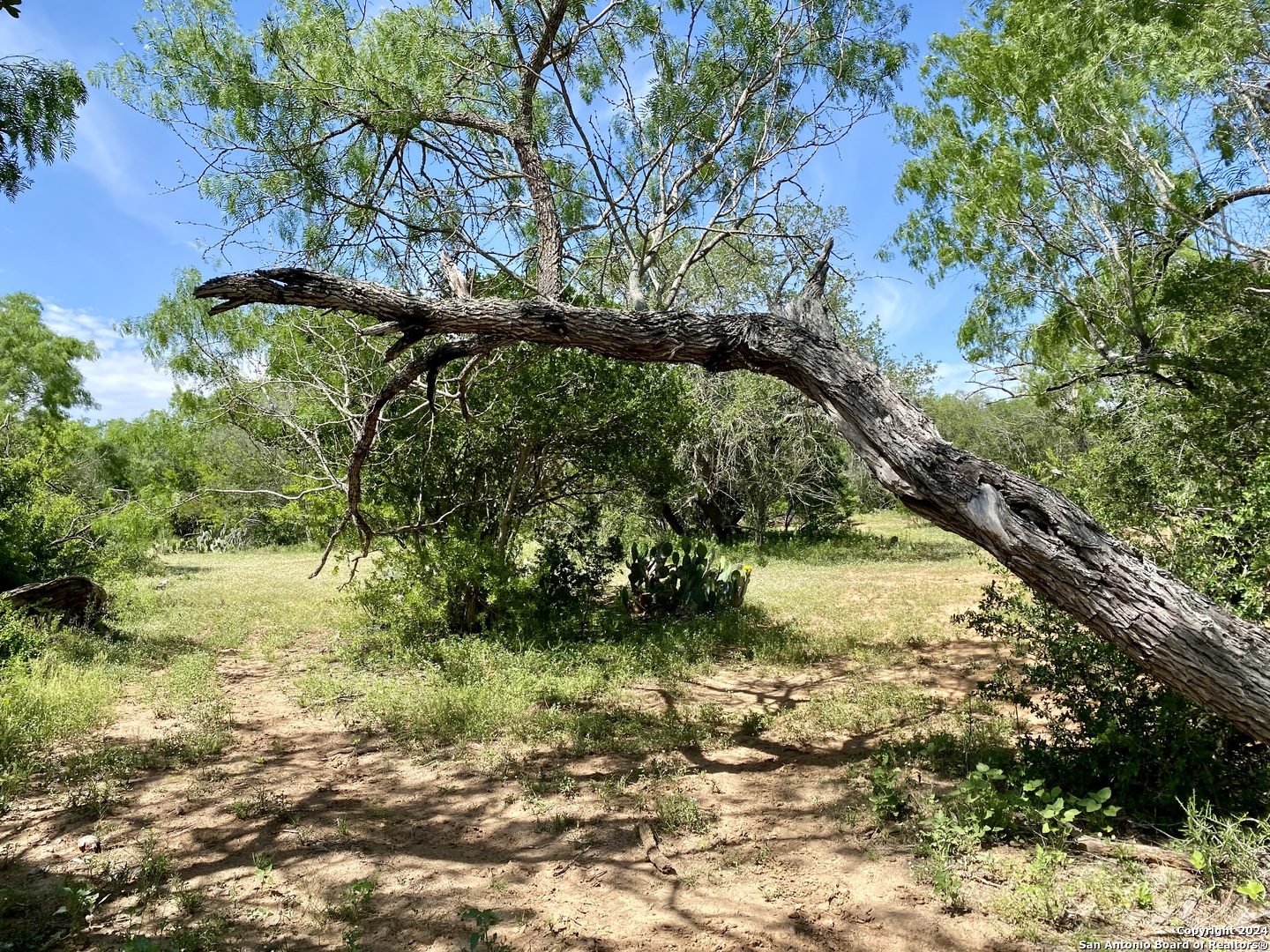 Tbd Dairy Road Pleasanton TX 78064