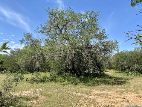 Tbd Dairy Road Pleasanton TX 78064