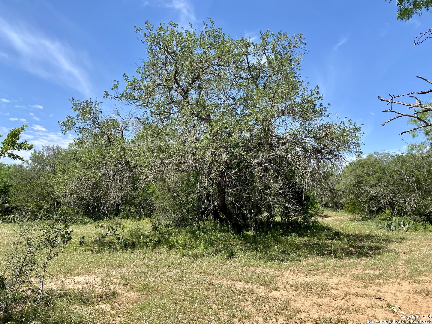 Tbd Dairy Road Pleasanton TX 78064