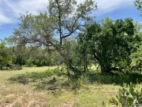 Tbd Dairy Road Pleasanton TX 78064