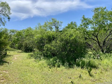 Tbd Dairy Road Pleasanton TX 78064