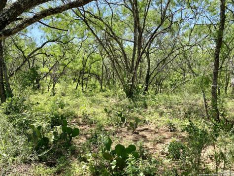 Tbd Dairy Road Pleasanton TX 78064