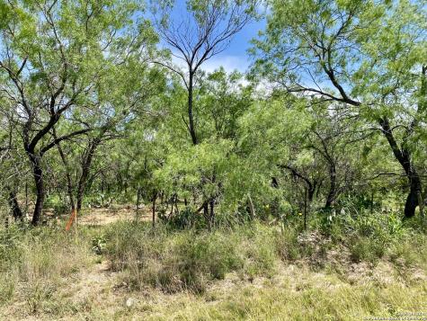 Tbd Dairy Road Pleasanton TX 78064