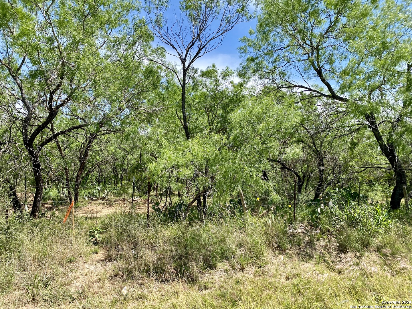 Tbd Dairy Road Pleasanton TX 78064