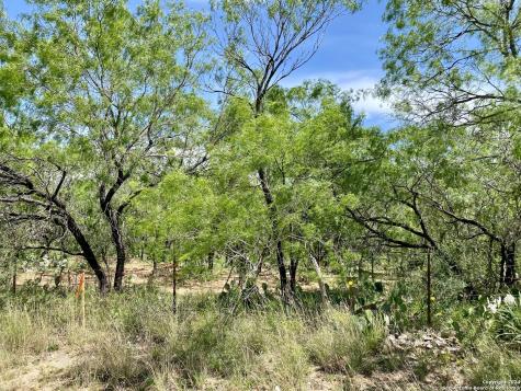 Tbd Dairy Road Pleasanton TX 78064