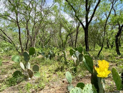 Tbd Dairy Road Pleasanton TX 78064