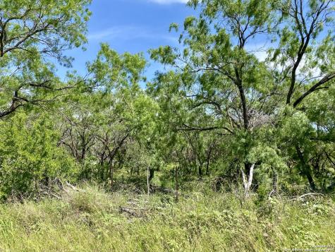 Tbd Dairy Road Pleasanton TX 78064
