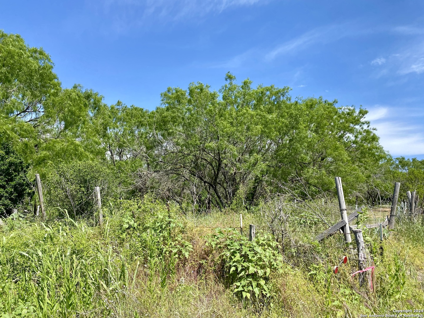 Tbd Dairy Road Pleasanton TX 78064