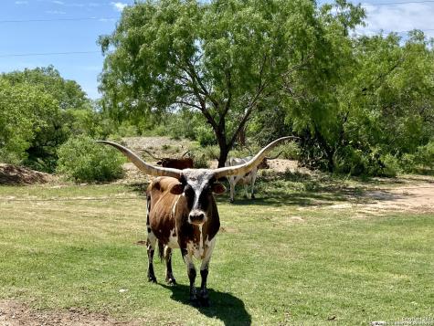 Tbd Dairy Road Pleasanton TX 78064