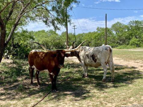 Tbd Dairy Road Pleasanton TX 78064