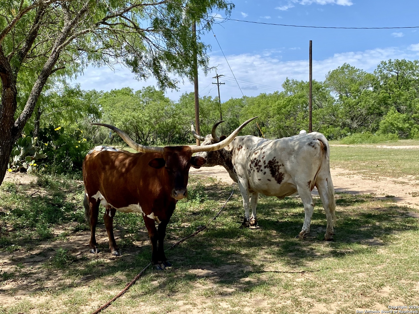 Tbd Dairy Road Pleasanton TX 78064