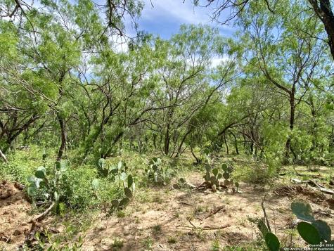 Tbd Dairy Road Pleasanton TX 78064