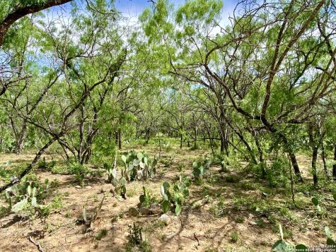 Tbd Dairy Road Pleasanton TX 78064