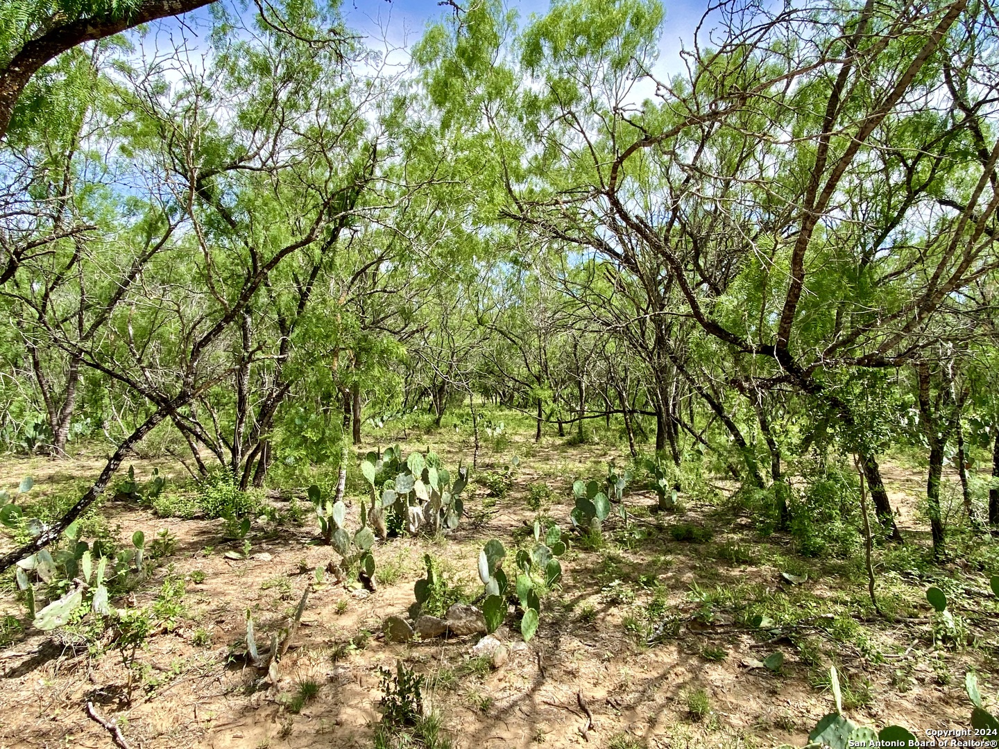 Tbd Dairy Road Pleasanton TX 78064
