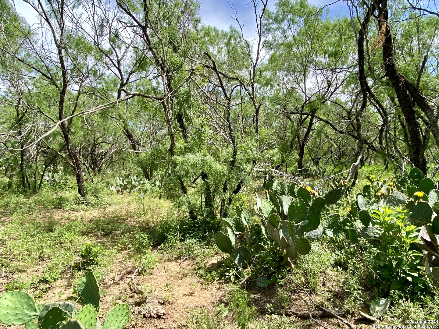 Tbd Dairy Road Pleasanton TX 78064
