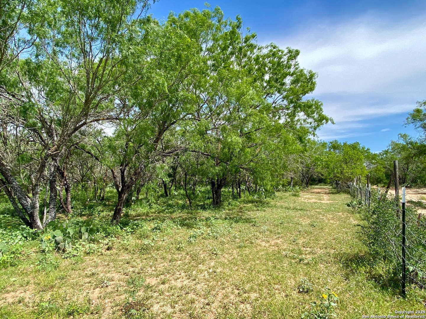 Tbd Dairy Road Pleasanton TX 78064