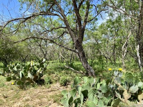 Tbd Dairy Road Pleasanton TX 78064