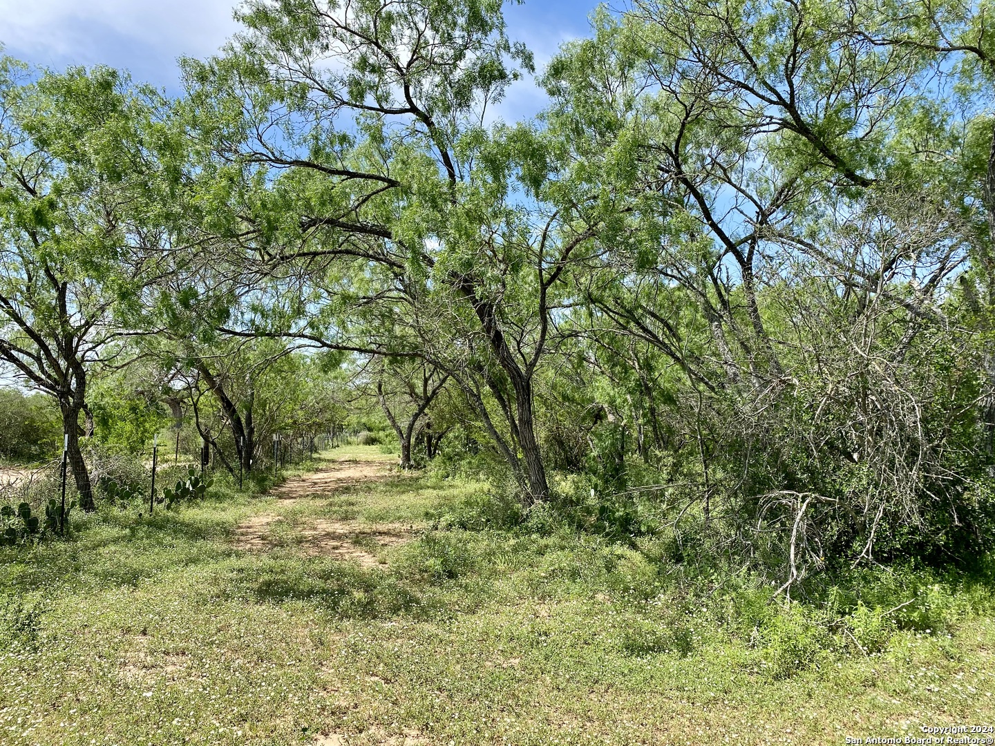 Tbd Dairy Road Pleasanton TX 78064