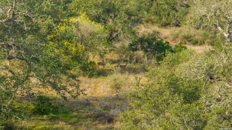 000 Highway 16 Llano TX 78643