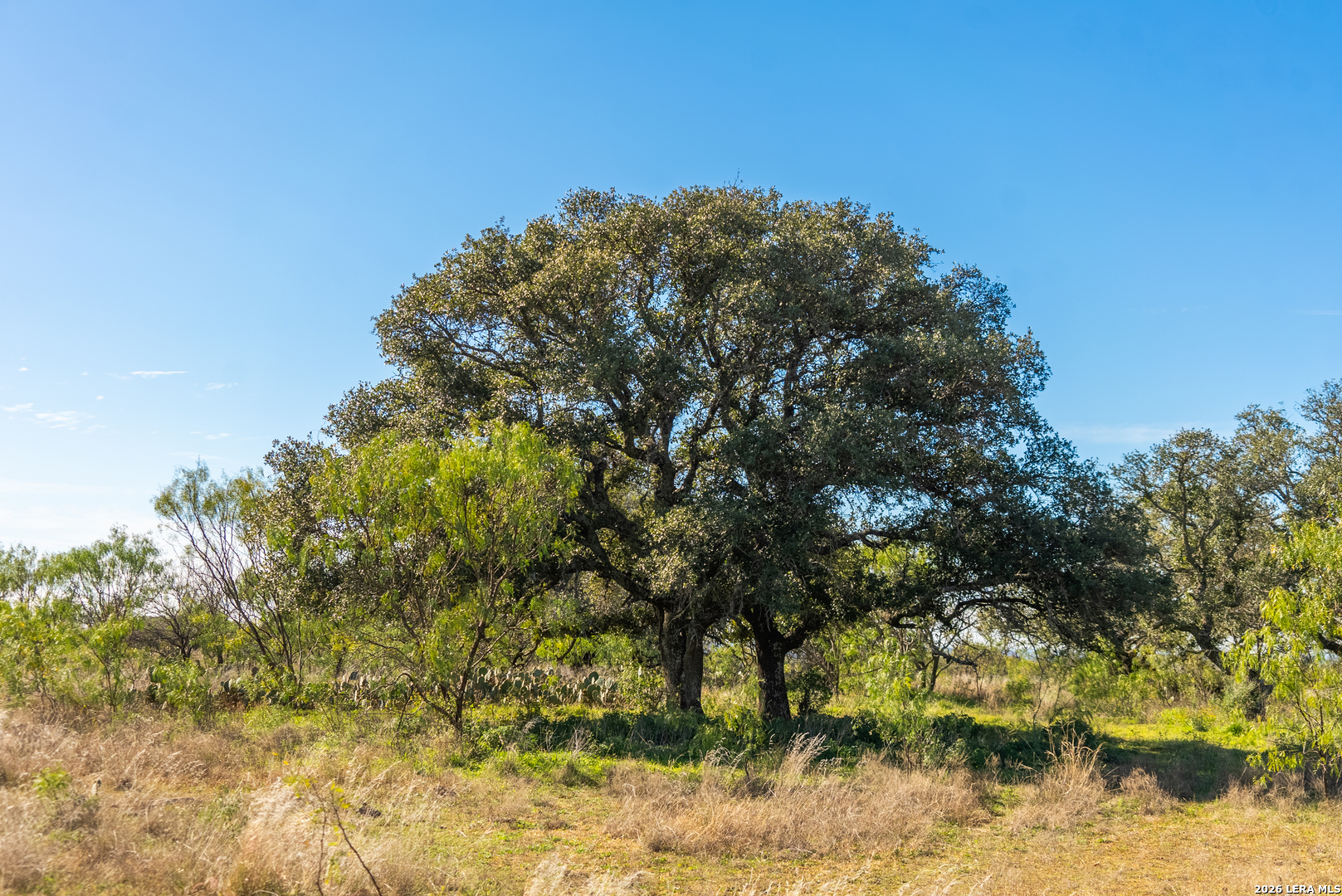 000 Highway 16 Llano TX 78643