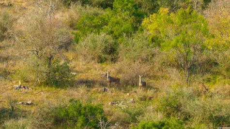000 Highway 16 Llano TX 78643