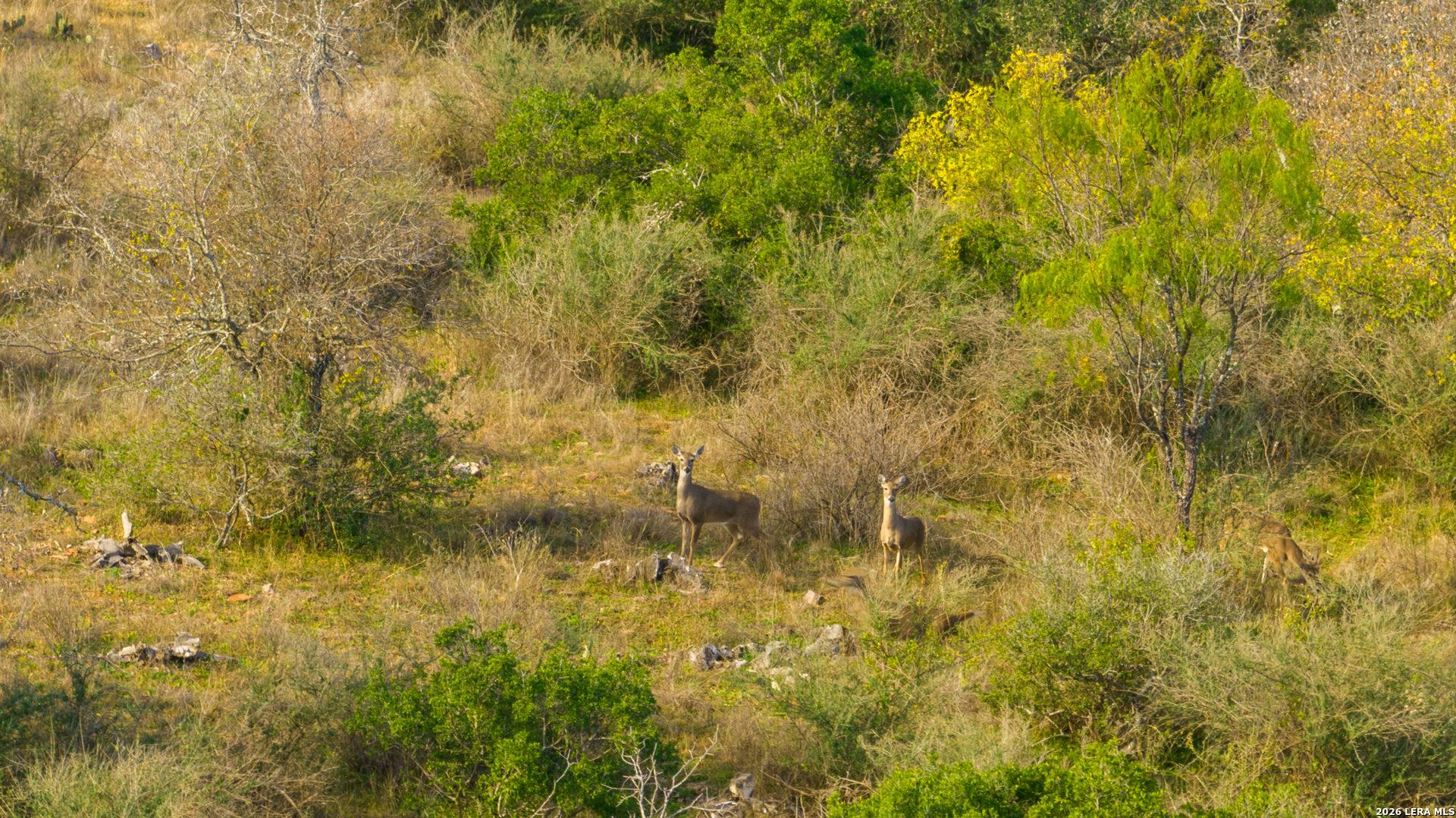 000 Highway 16 Llano TX 78643