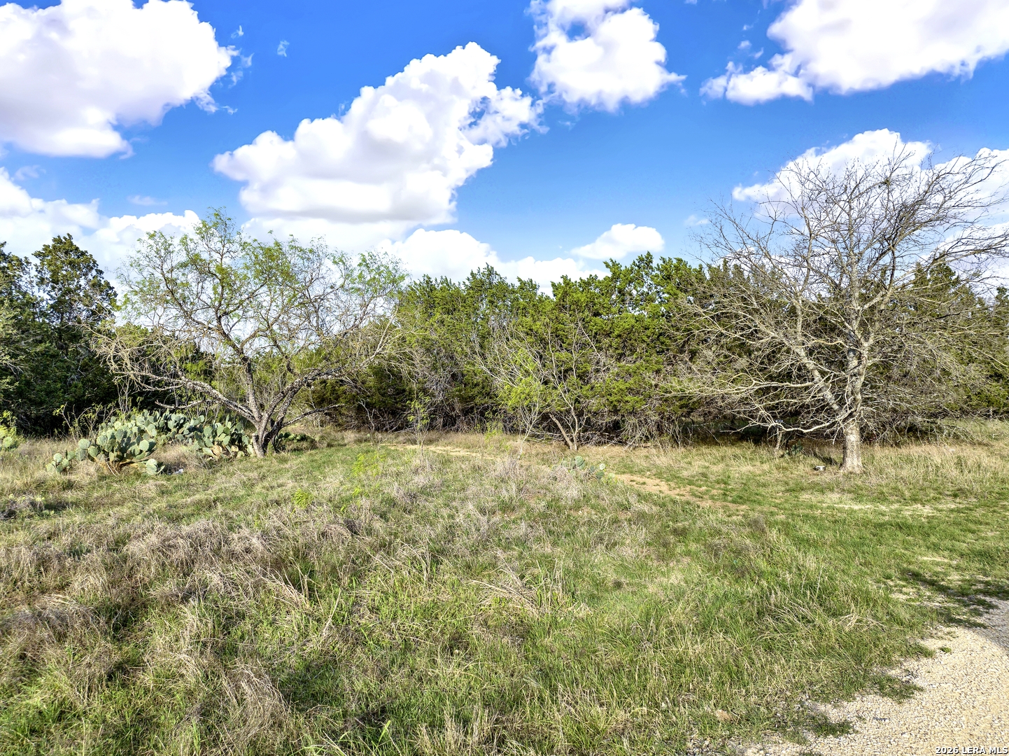 373 Bandera Bandera TX 78003