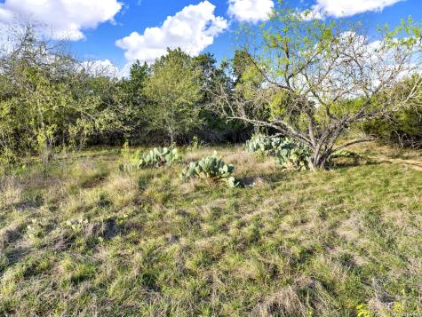 Lot 82 Bandera Bandera TX 78003