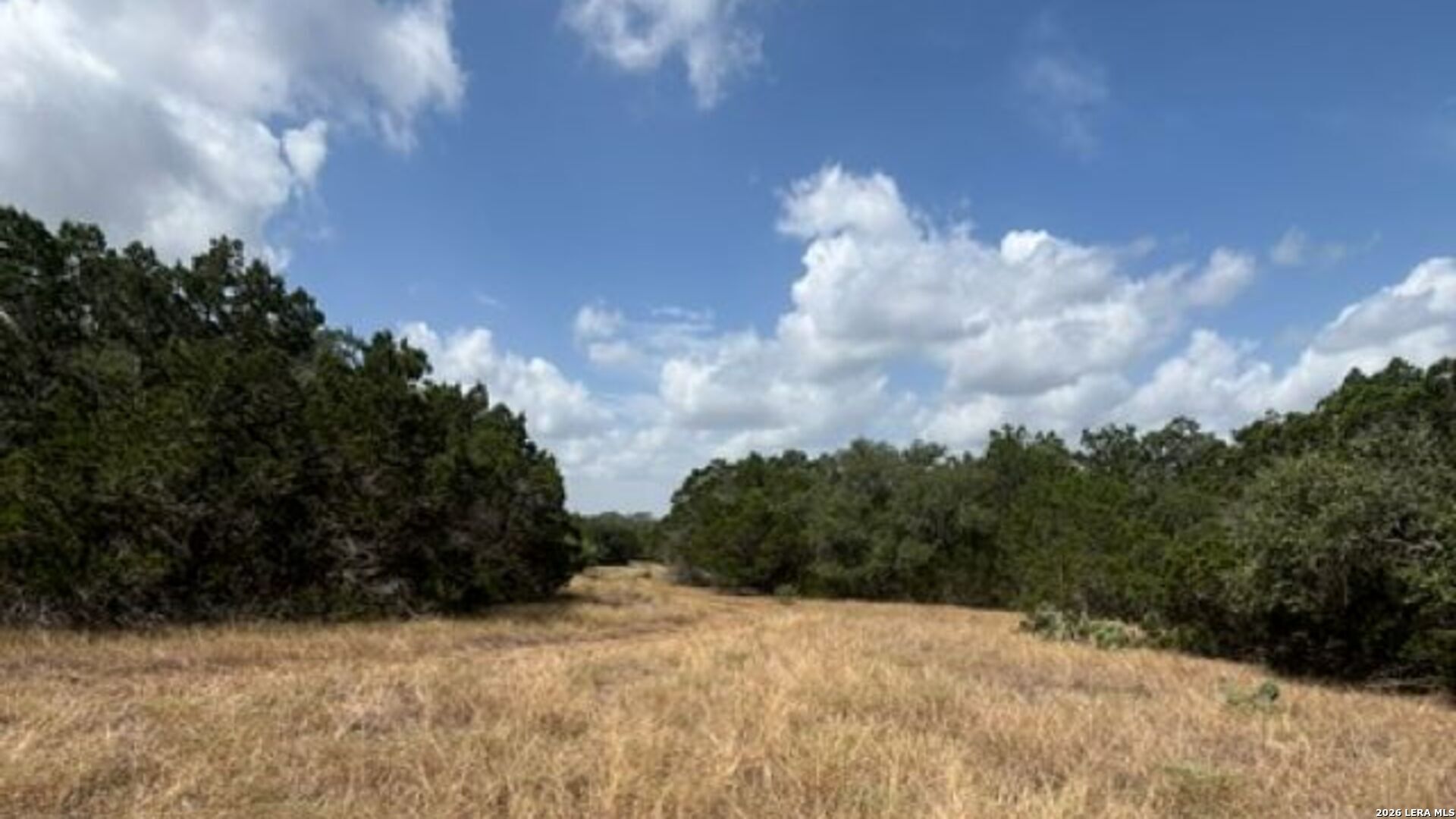 Lot 44 Pr 2535 Mico TX 78056