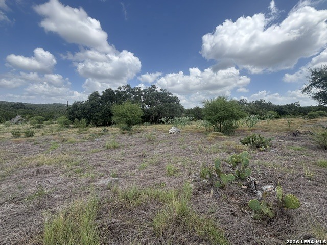 Lot 44 Pr 2535 Mico TX 78056